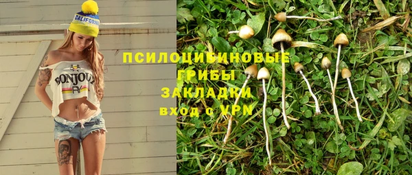 apvp Армянск