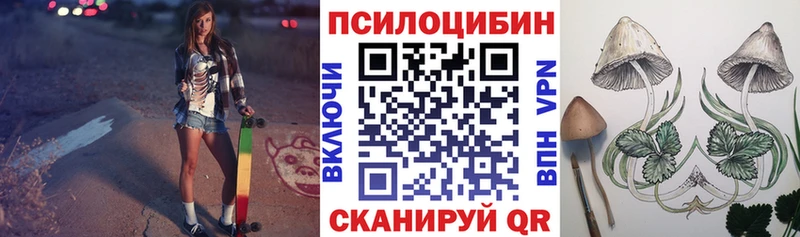 Галлюциногенные грибы Cubensis  Ахтубинск 