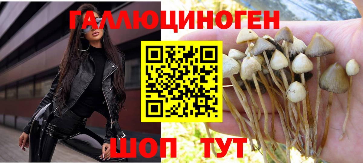 Псилоцибиновые грибы мицелий Ахтубинск